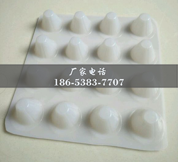 排水板廠家http://www.23037.cn/
