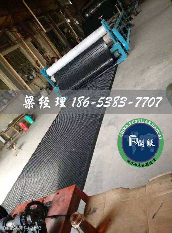 排水板廠家http://www.23037.cn/