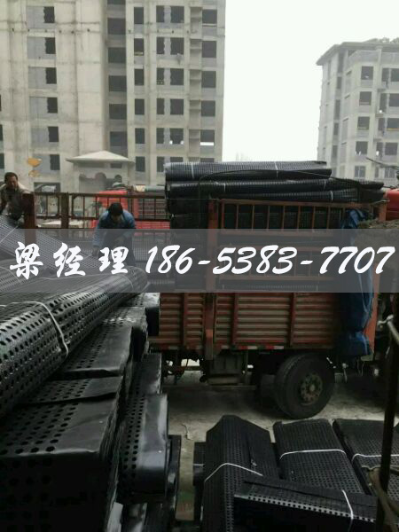 排水板廠家http://www.23037.cn/